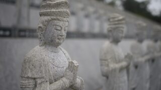〈先祖・家系〉コース